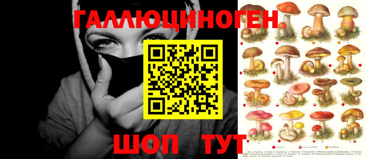 Псилоцибиновые грибы Psilocybe  Псилоцибиновые грибы Cubensis  Благодарный  Вход с VPN 